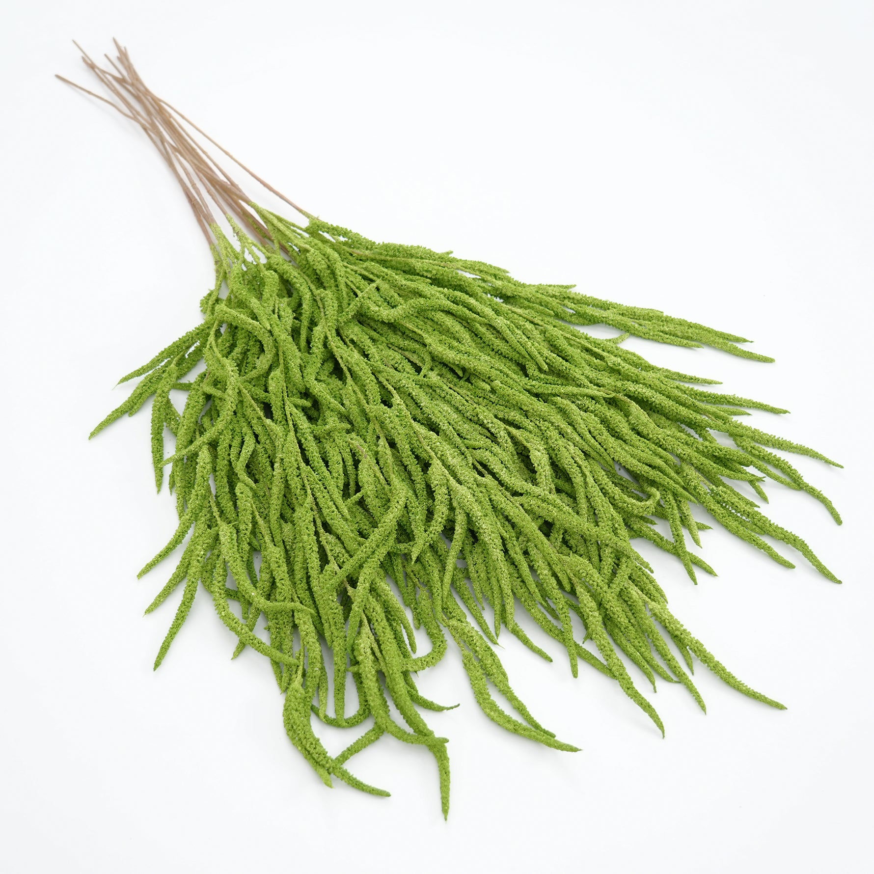 Fake White Drooping Amaranthus Foliage
