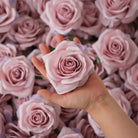 Rose Head Floral Supply