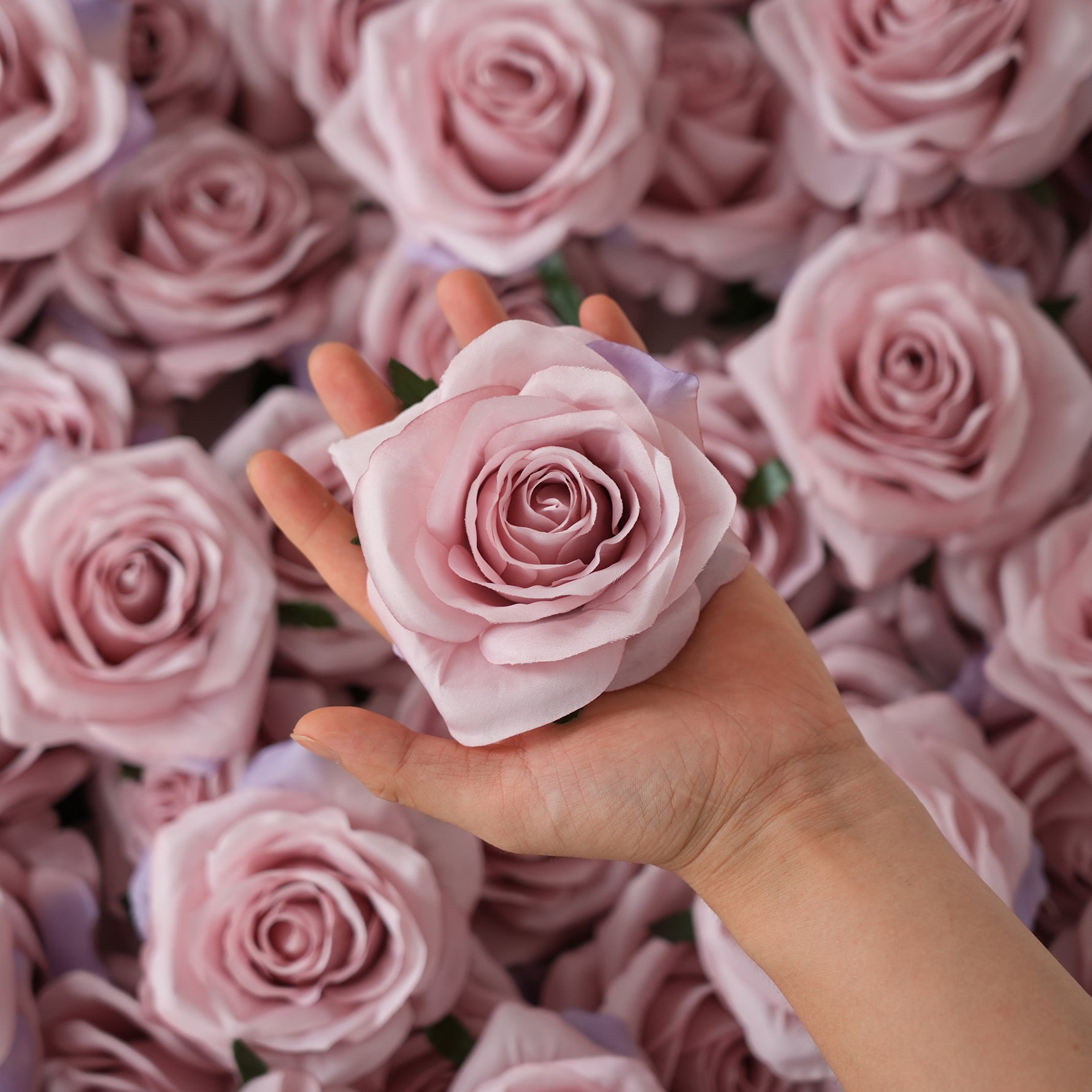 Rose Head Floral Supply