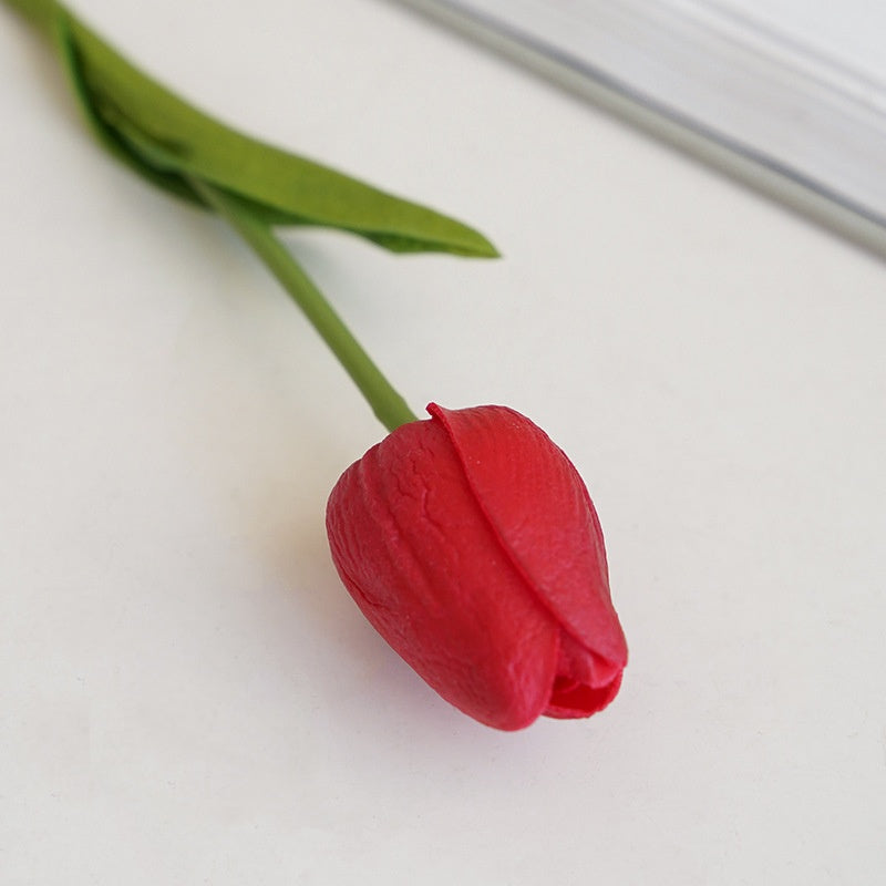 macro_petal_texture_blush_pink_tulip