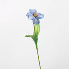 offwhite_clematis_stem_with_leaves