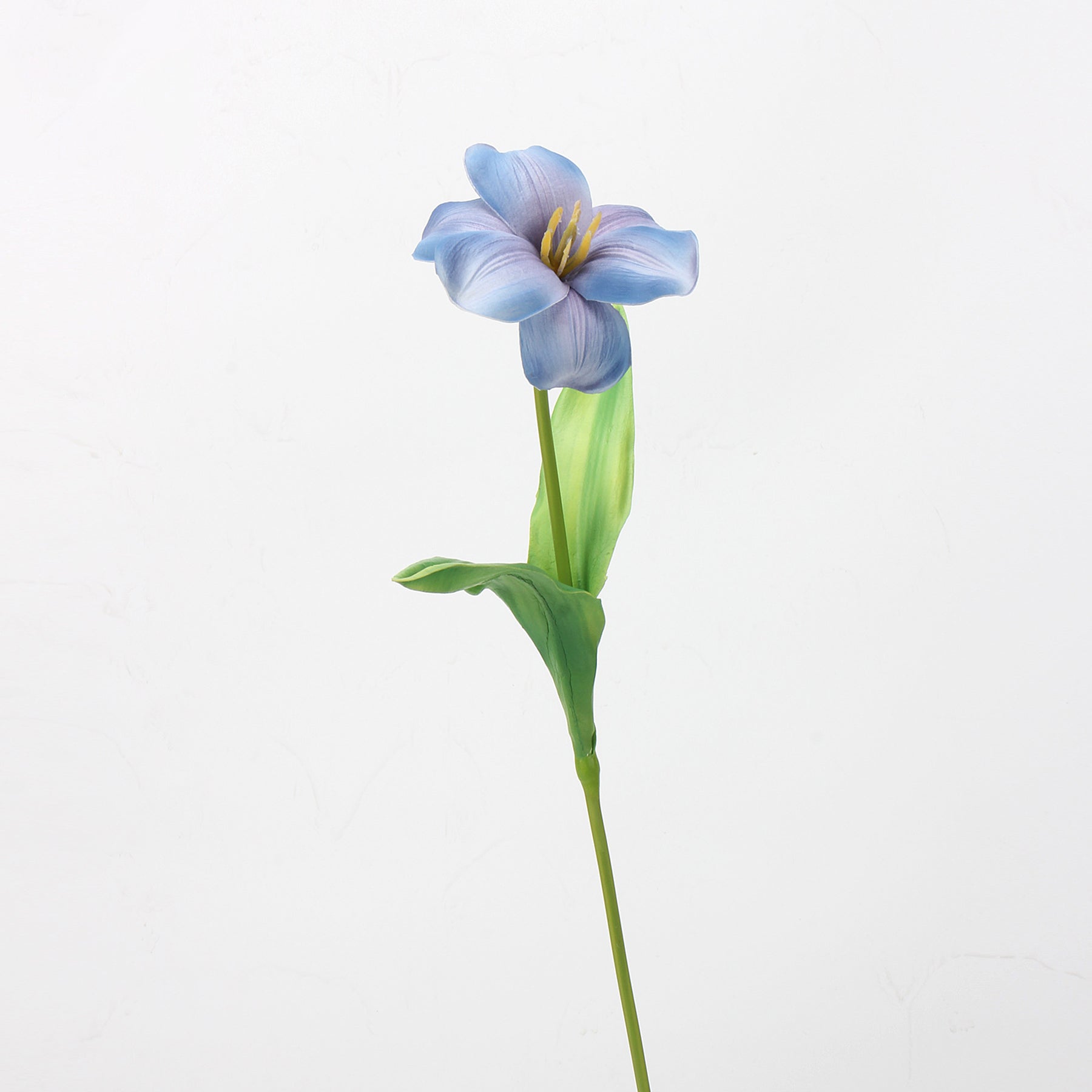 offwhite_clematis_stem_with_leaves