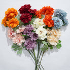 mauve-purple-ranunculus-stem
