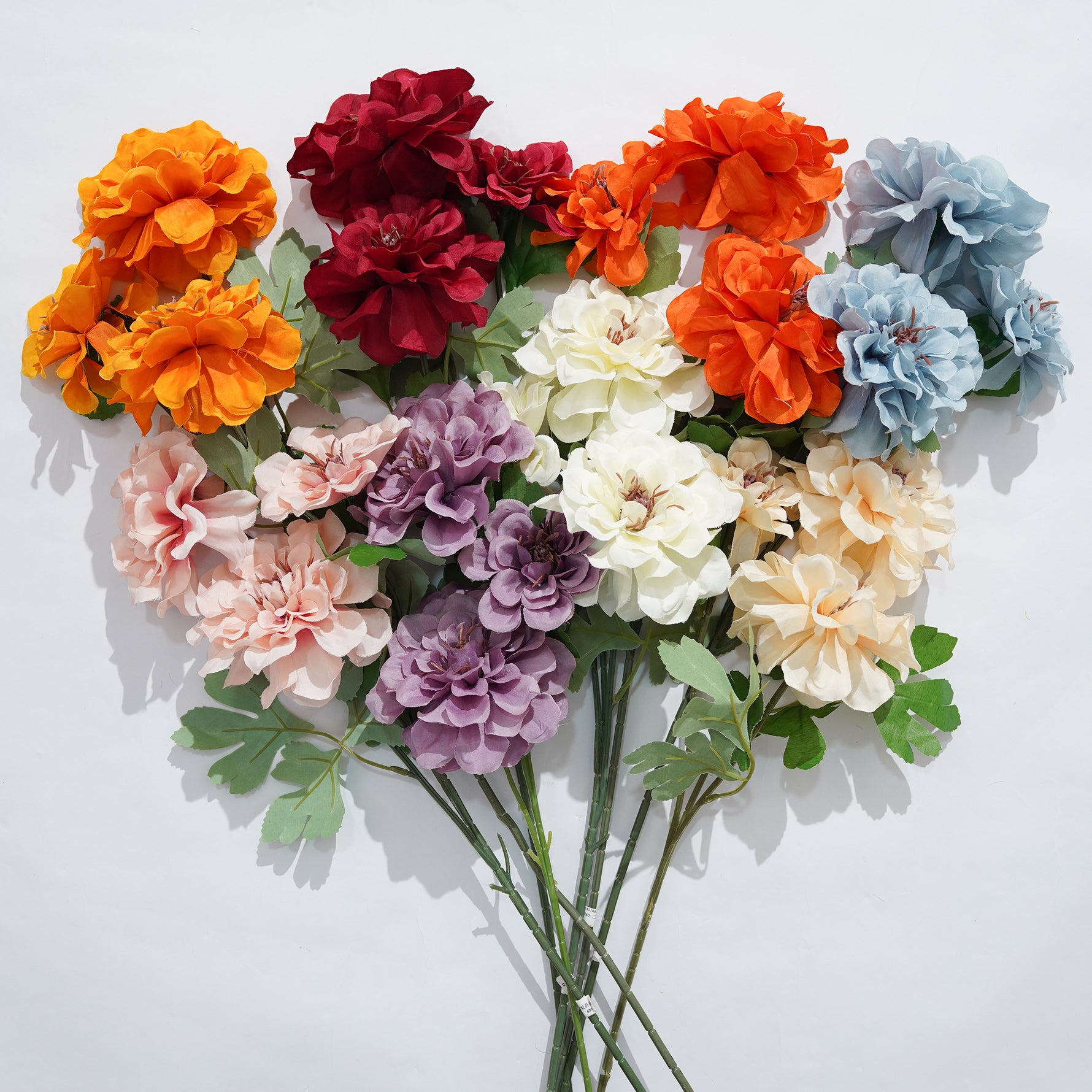 mauve-purple-ranunculus-stem
