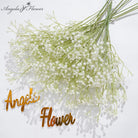 white-babys-breath-wedding-flower