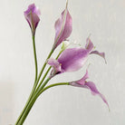 realistic-calla-lily-faux-flower