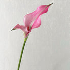 realistic-silk-flower-calla-lily
