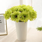colorful-chrysanthemum-flower-set