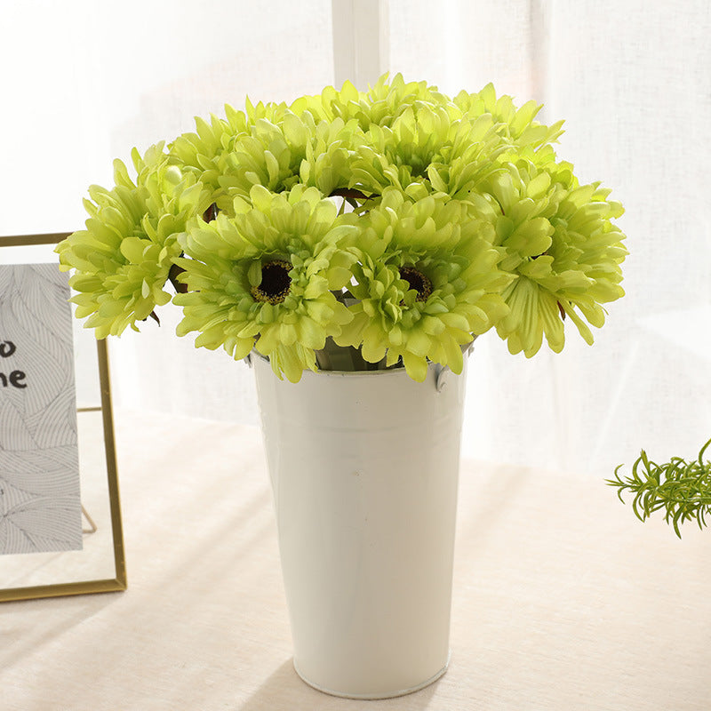colorful-chrysanthemum-flower-set