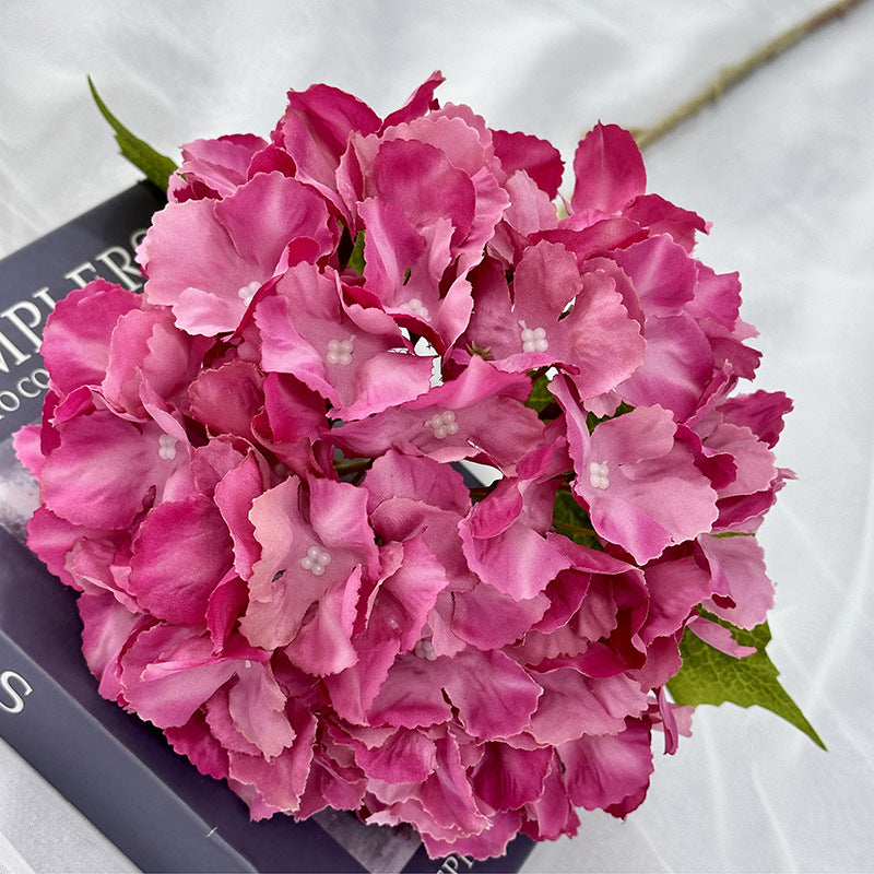hydrangea-bloom-decoration