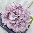 hydrangea-floral-supply