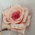 ombre‑artificial‑rose‑flower‑heads‑collection
