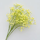 silk-babys-breath-wedding-decor