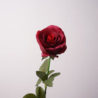 Wholesale silk rose sprig