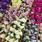 Fake lisianthus stem wedding arch filler flower