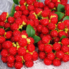 artificial raspberry filler sprig for custom floral bouquets