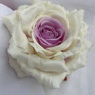 pastel‑white‑faux‑rose‑flower‑head‑craft‑parts
