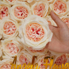 champagne faux austin rose reception decor