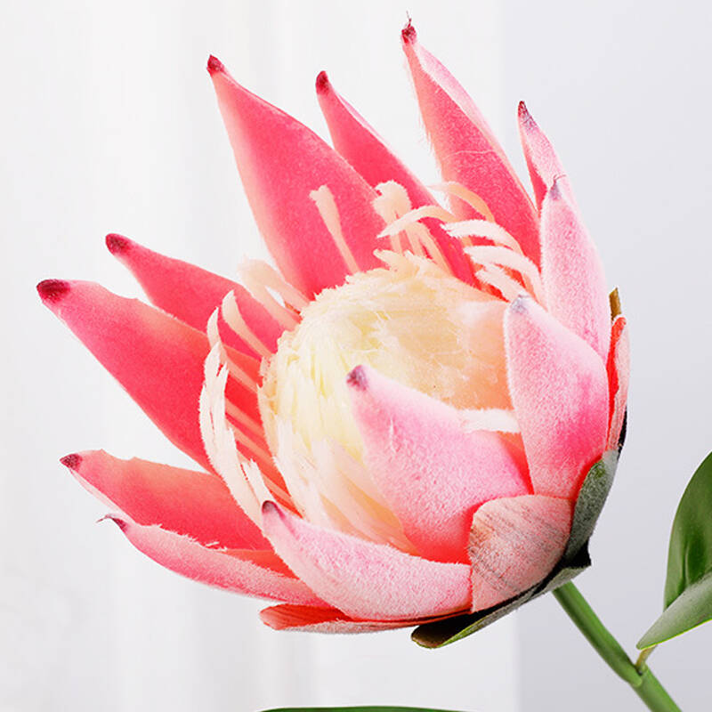 pink‑artificial‑protea‑flower‑single‑stem‑close‑up
