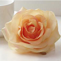 light-sage-faux-rose-bloom-bohemian-aesthetic-decor
