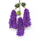 orange-silk-wisteria-decor