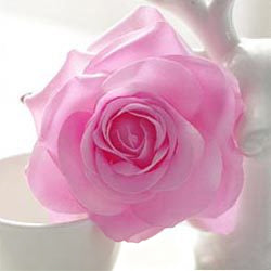apricot-vintage-rose-head-backdrop-floral-material
