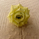 Pastel pink fake silk rose head event arrangement

