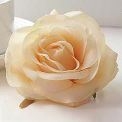 multi-toned-dusty-rose-blooms-wedding-arch-supplies
