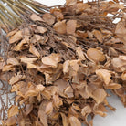 natural_leaf_bunch_warm