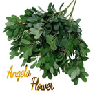hand‑gripped‑mixed‑white‑green‑jujube‑leaf‑faux‑stems‑photo