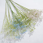 gypsophila-wedding-decor-supply