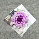 pastel-pink-rose-head