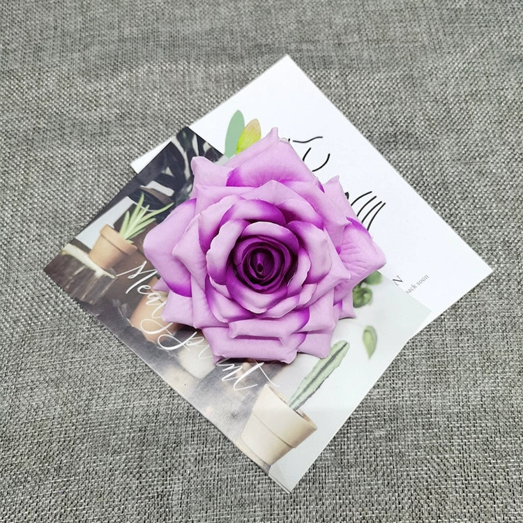 pastel-pink-rose-head