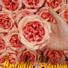 pastel pink faux english rose heads decor