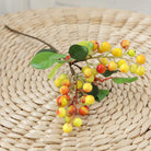 tiny_mixed_berry_sprig_isolated