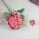 single_bloom_sunset_bicolor_dahlia