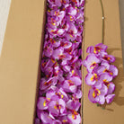 Vibrant Artificial Silk Orchid Bulk Pack