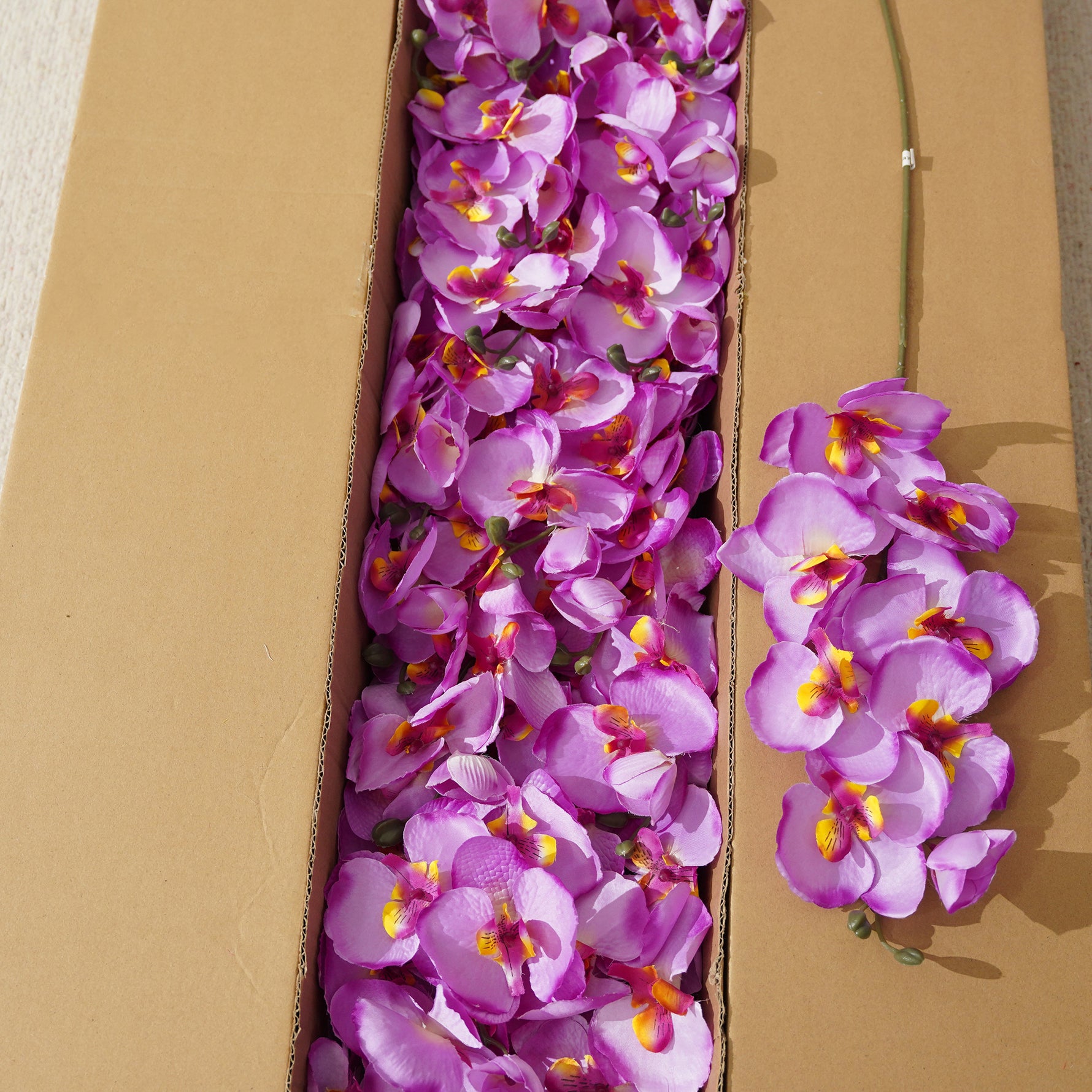Vibrant Artificial Silk Orchid Bulk Pack