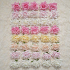 blush_peach_foam_rose_bulk_layout