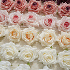 creamy‑ivory‑fake‑big‑rose‑bloom‑lace‑fabric‑background‑layout