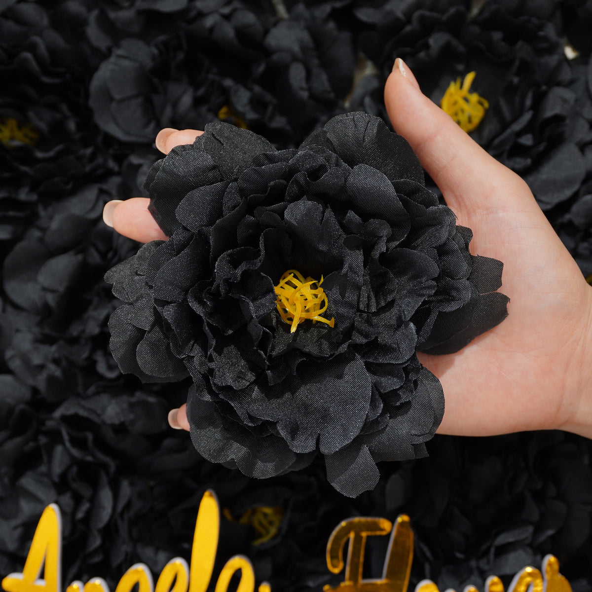 Black rose head size comparison chart for reference