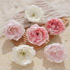 Blush pink peony heads on linen background