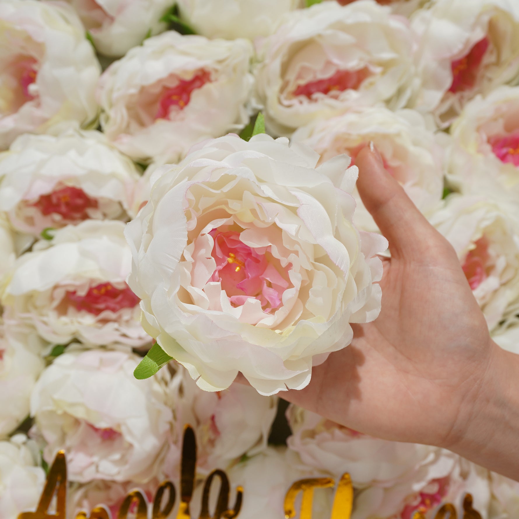 soft-petal-rose-head