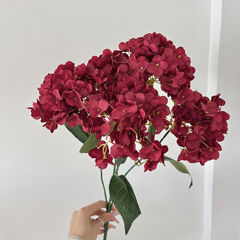 pastel-hydrangea-bulk-wedding-flower-stock
