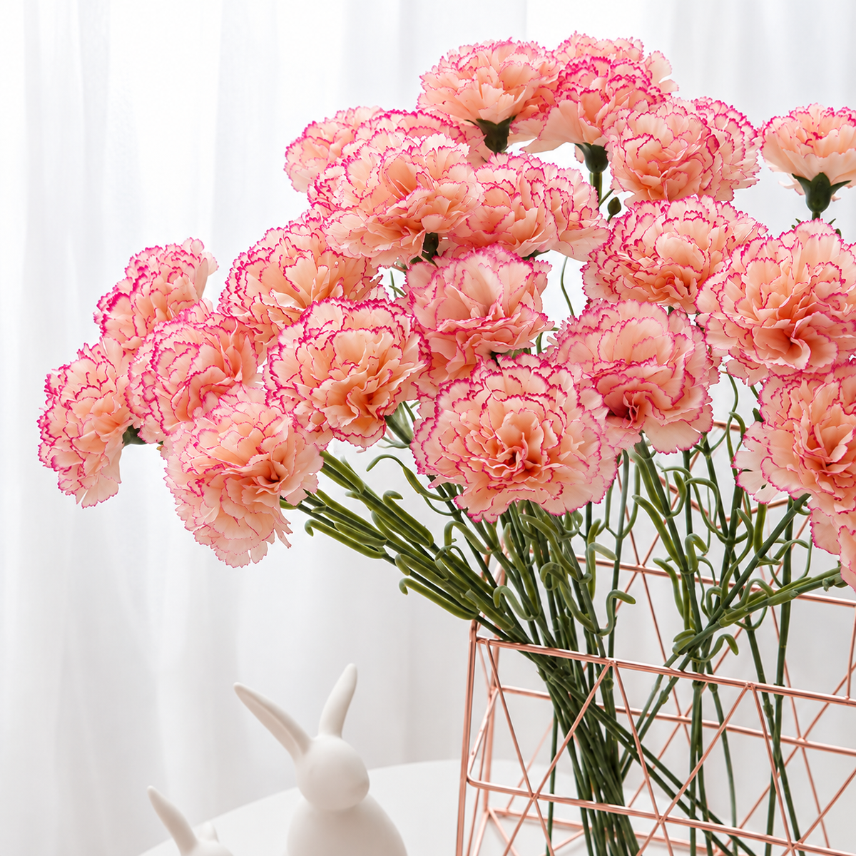 single_carnation_branch