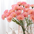single_carnation_branch
