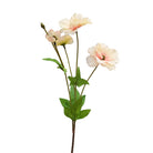 vibrant_iceland_poppy_blue_floral
