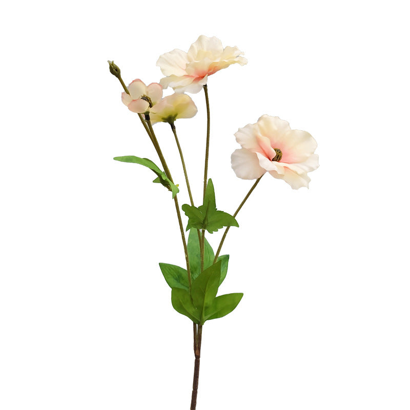 vibrant_iceland_poppy_blue_floral