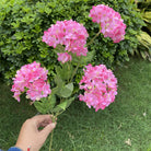 vibrant_yellow_hydrangea_garden_product