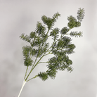 bright_red_mistygrass